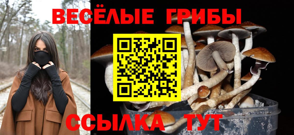 Псилоцибиновые грибы Psilocybine cubensis  Вход с VPN  Нижневартовск 