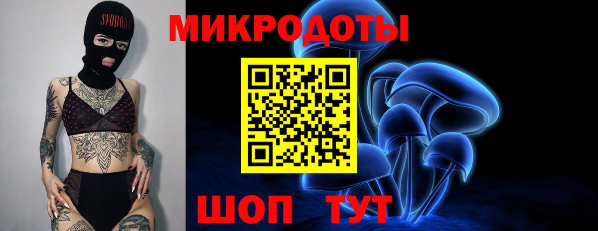 Галлюциногенные грибы Psilocybine cubensis Нижневартовск